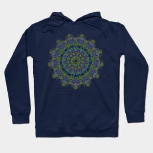 Wood Duck Kaleidoscope Hoodie